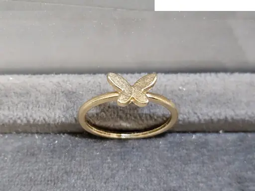 9780301376066